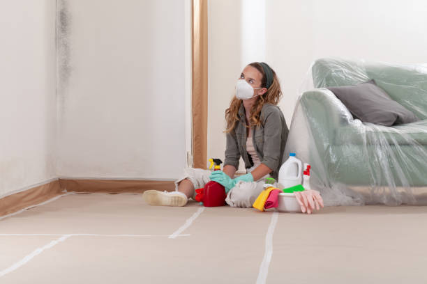Reliable Mold Remediation contractor in Schertz, TX by WQB Mold Removal